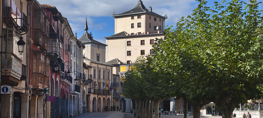 10 pistas para una escapada a Aranda de Duero